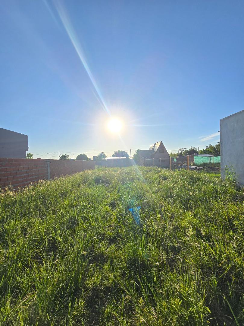 Foto de TERRENO EN VENTA 300M2 - LOMAS DE ALICIA, imagen 3