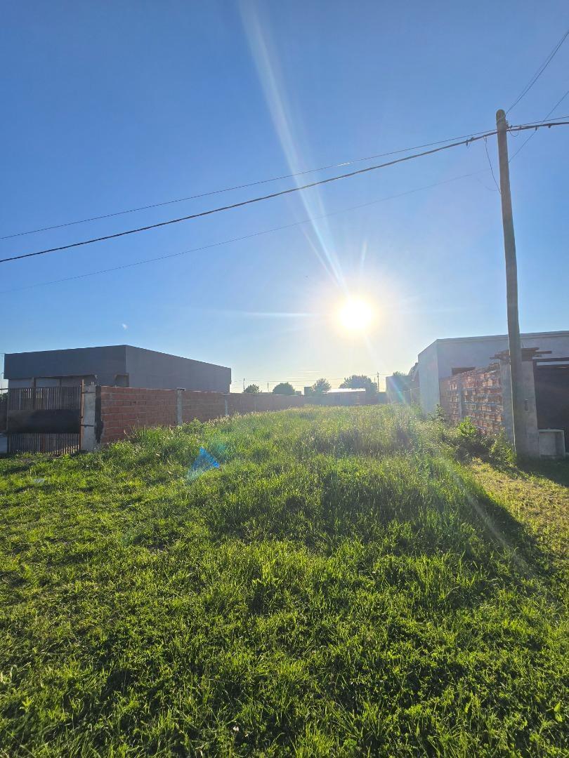 Foto de TERRENO EN VENTA 300M2 - LOMAS DE ALICIA, imagen 4