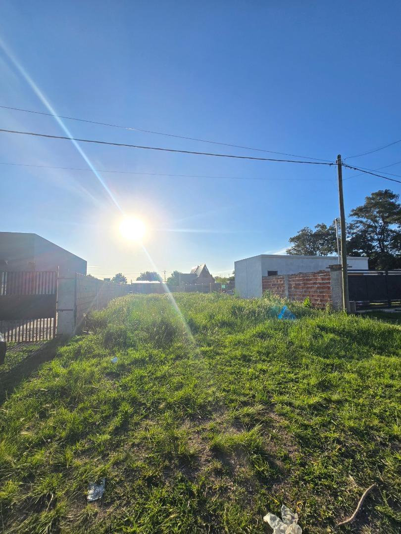 Foto de TERRENO EN VENTA 300M2 - LOMAS DE ALICIA, imagen 5