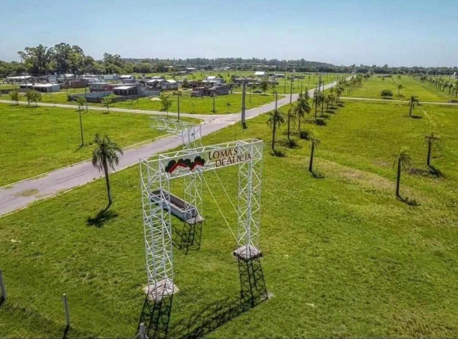 Foto de TERRENO EN VENTA 300M2 - LOMAS DE ALICIA, imagen 1