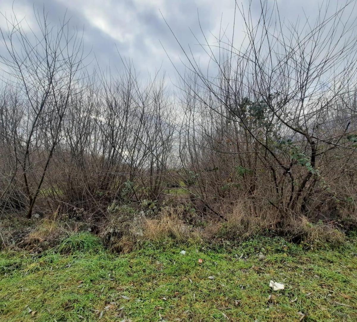 Terrenos en Venta en El Bolsón 4