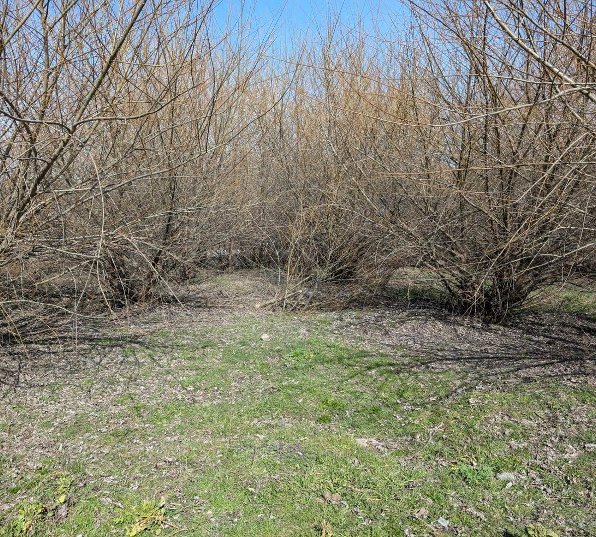 Terrenos en Venta en El Bolsón 2