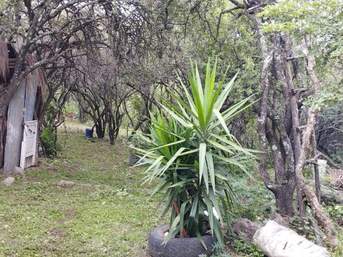 Foto de VENDO CASA CON GRAN TERRENO EN LA GRANJA, imagen 5