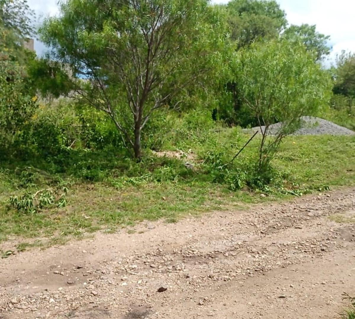 Vendo Terreno en Salsipuedes 4