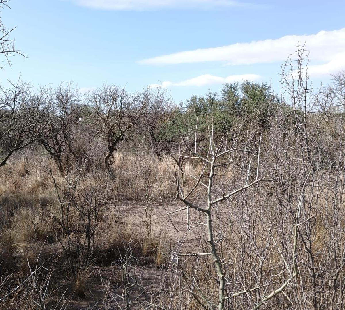 Vendo Terreno en Capilla del Monte, Cordoba 2