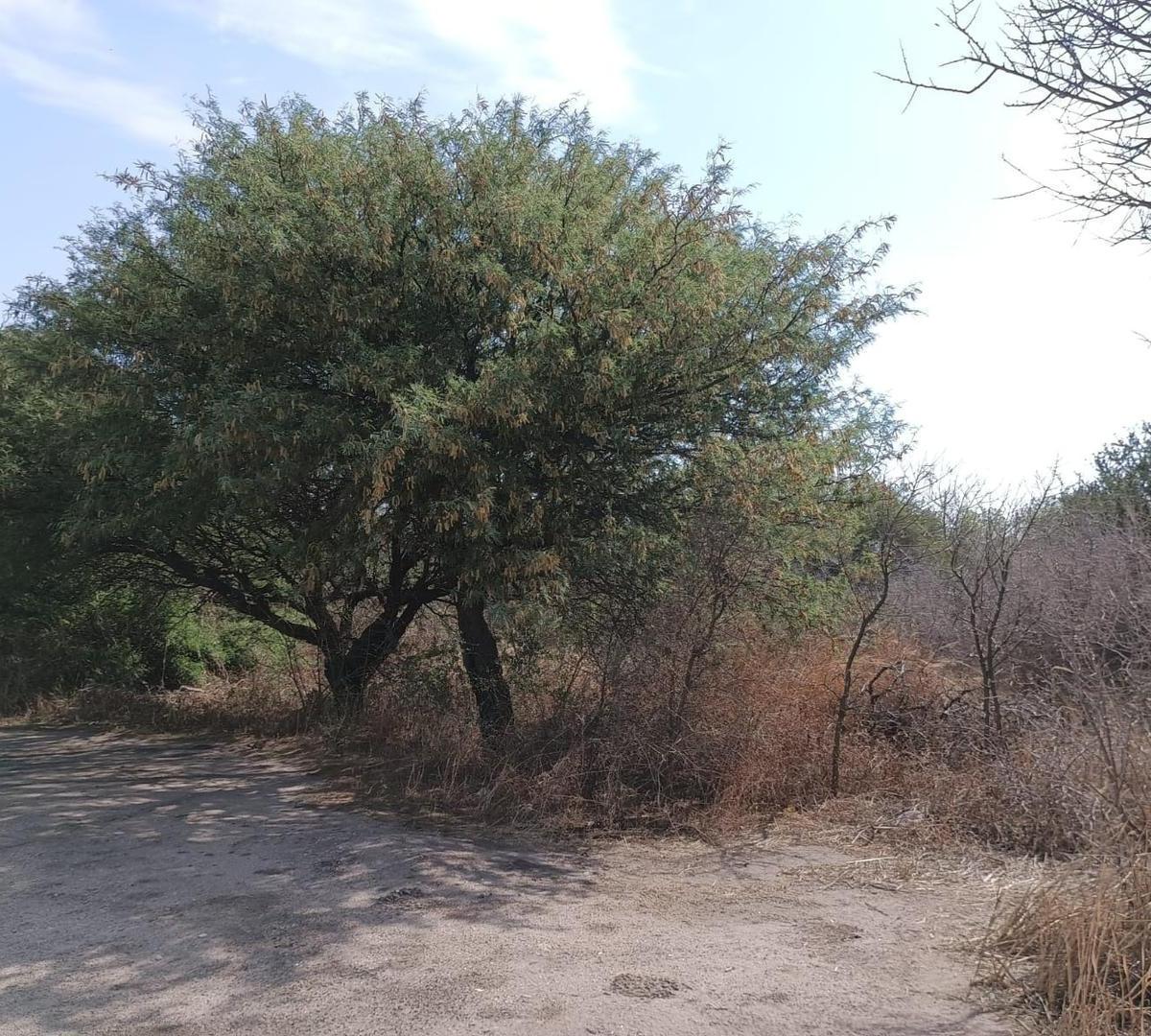Vendo Terreno en Capilla del Monte, Cordoba 3