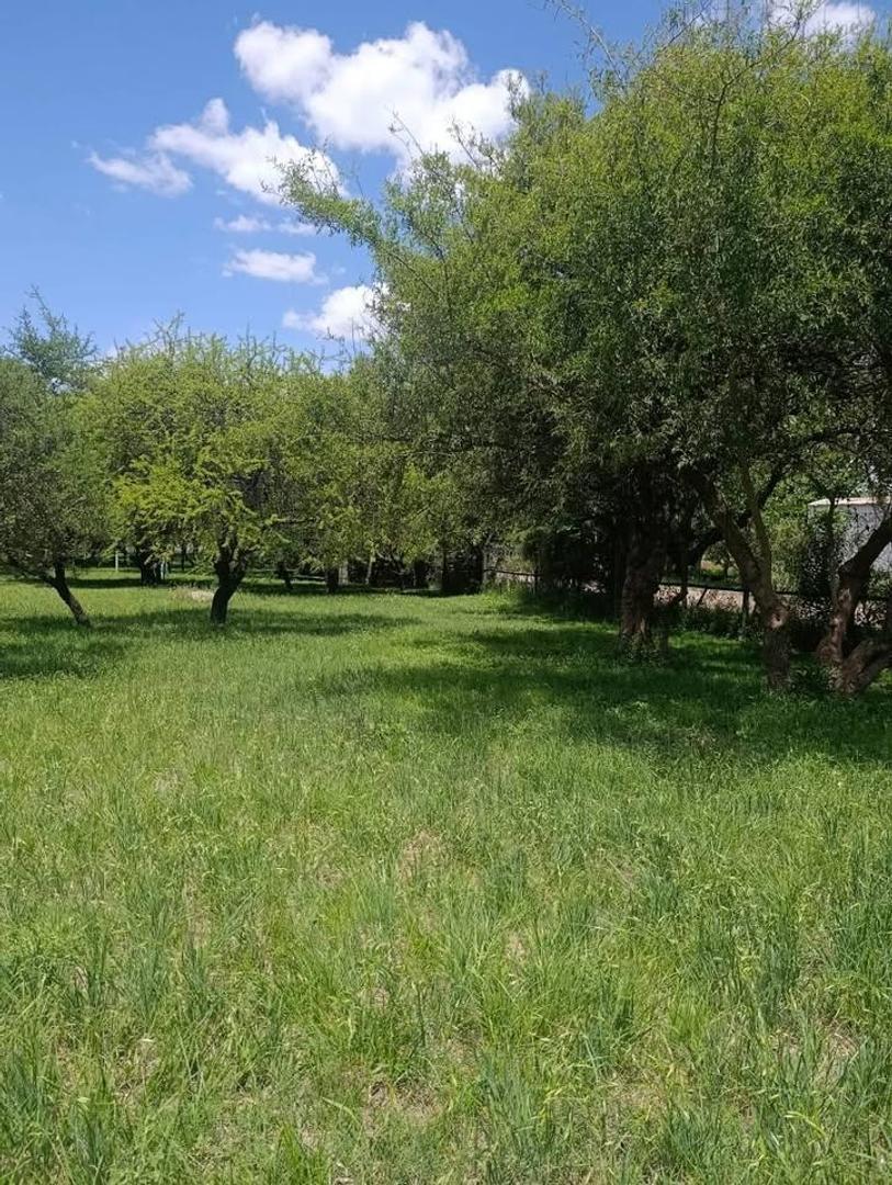 OPORTUNIDAD! LOTE VILLA CATALINA BARRIO CERRADO 509M2