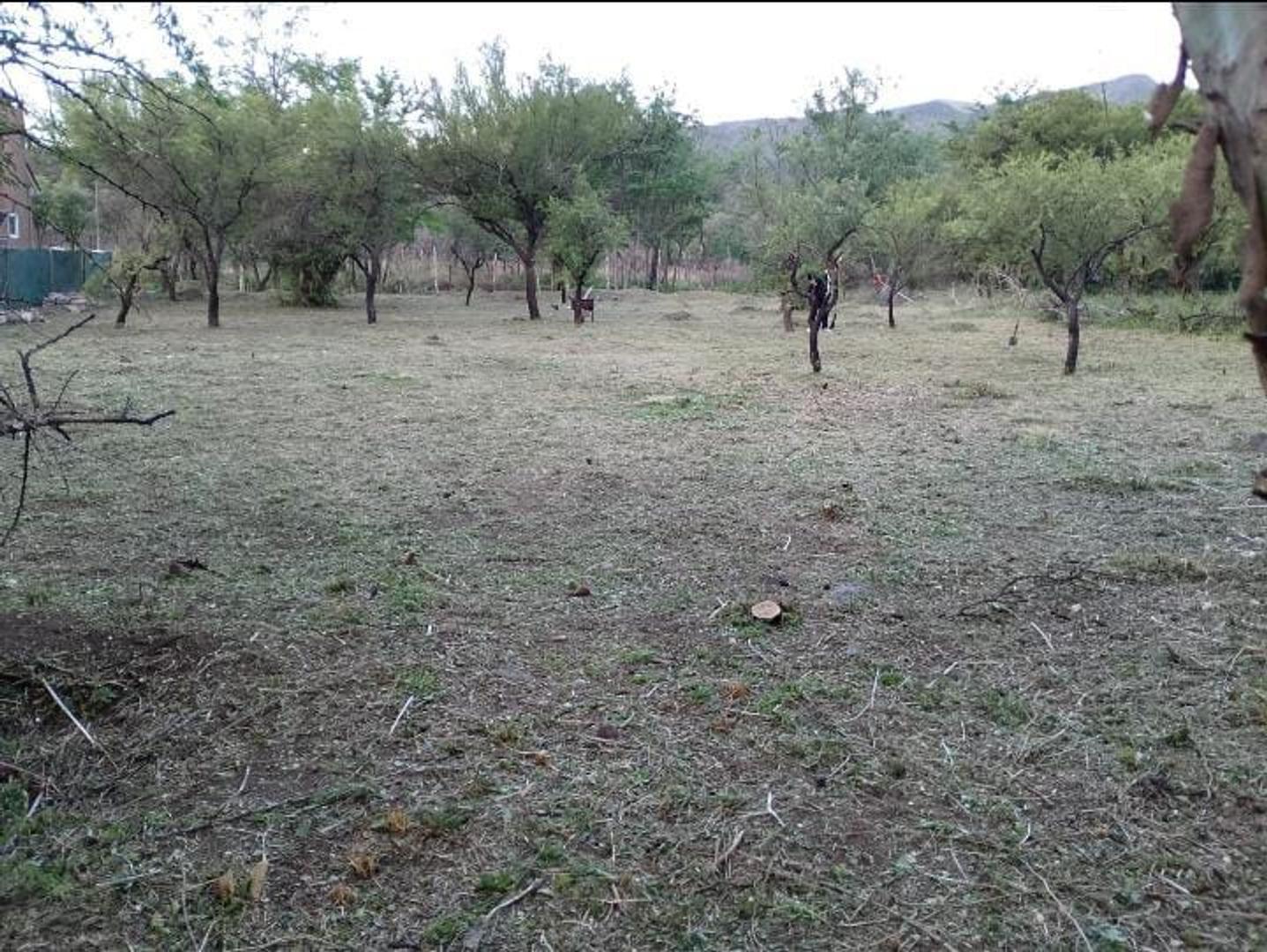 Foto de LOTE EN PAN DE AZUCAR, imagen 3