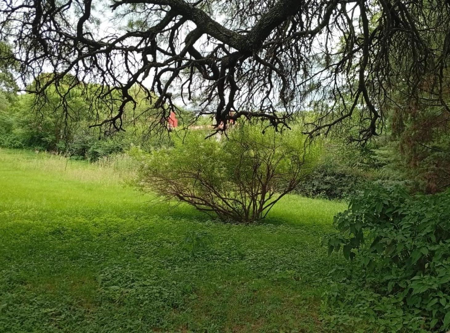 LOTE EN MOLINARI PUNILLA