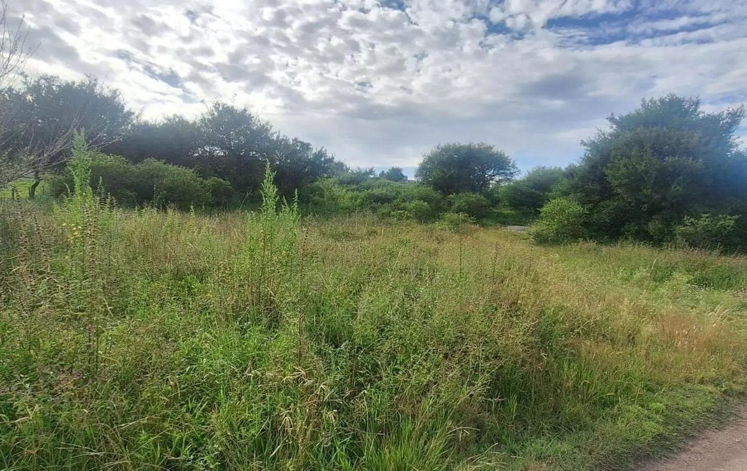 VENDO LOTE EN CABALANGO 5