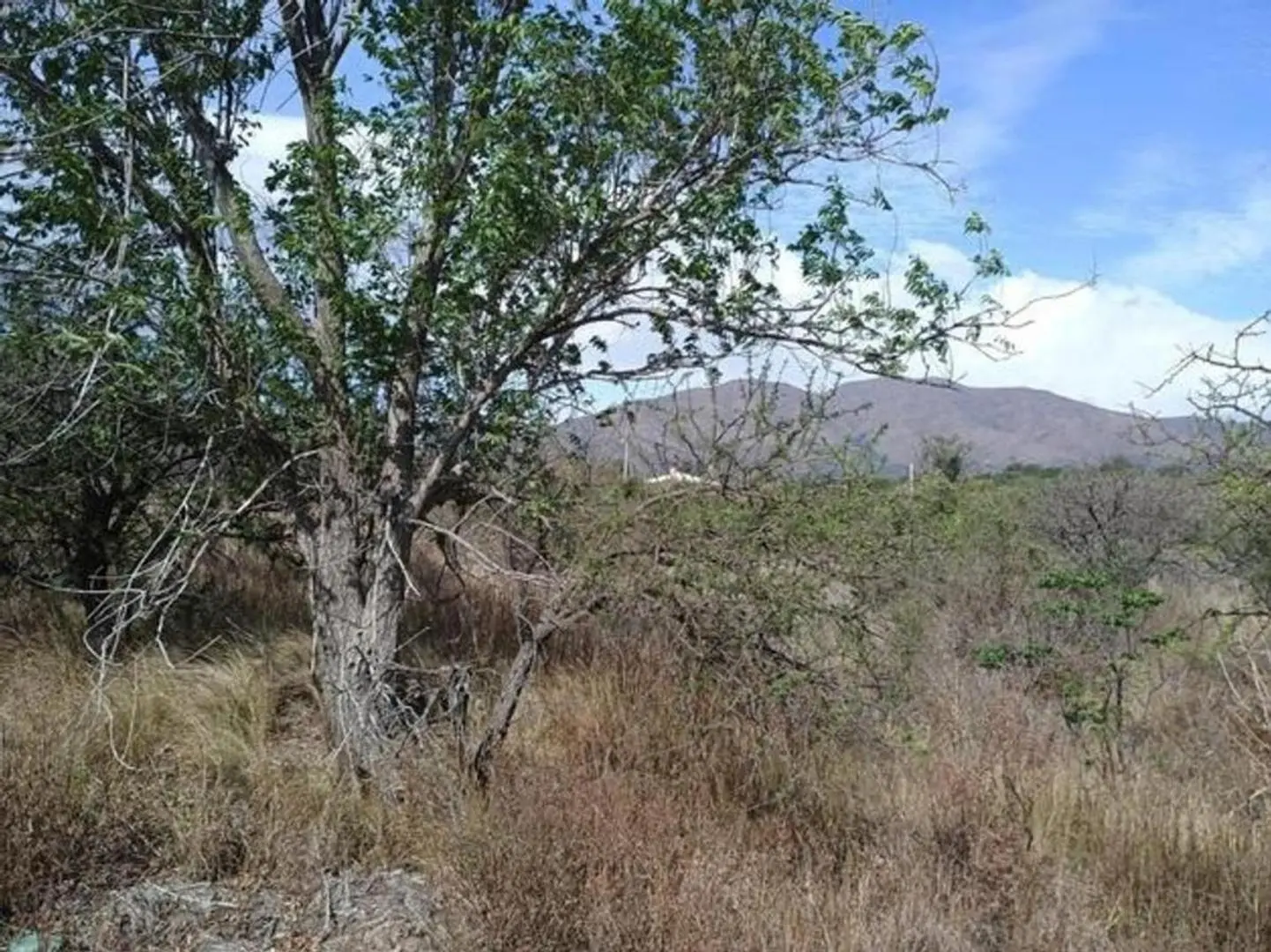 TERRENO EN CAPILLA DEL MONTE CORDOBA 4