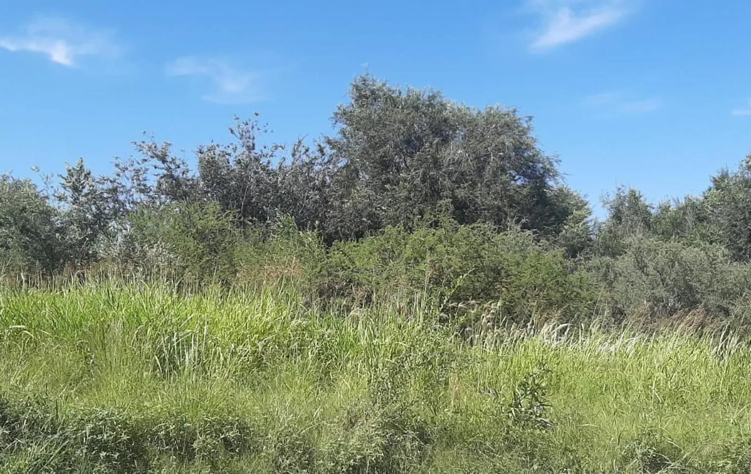 TERRENO EN VENTA COMUNA DE SAN ROQUE 5