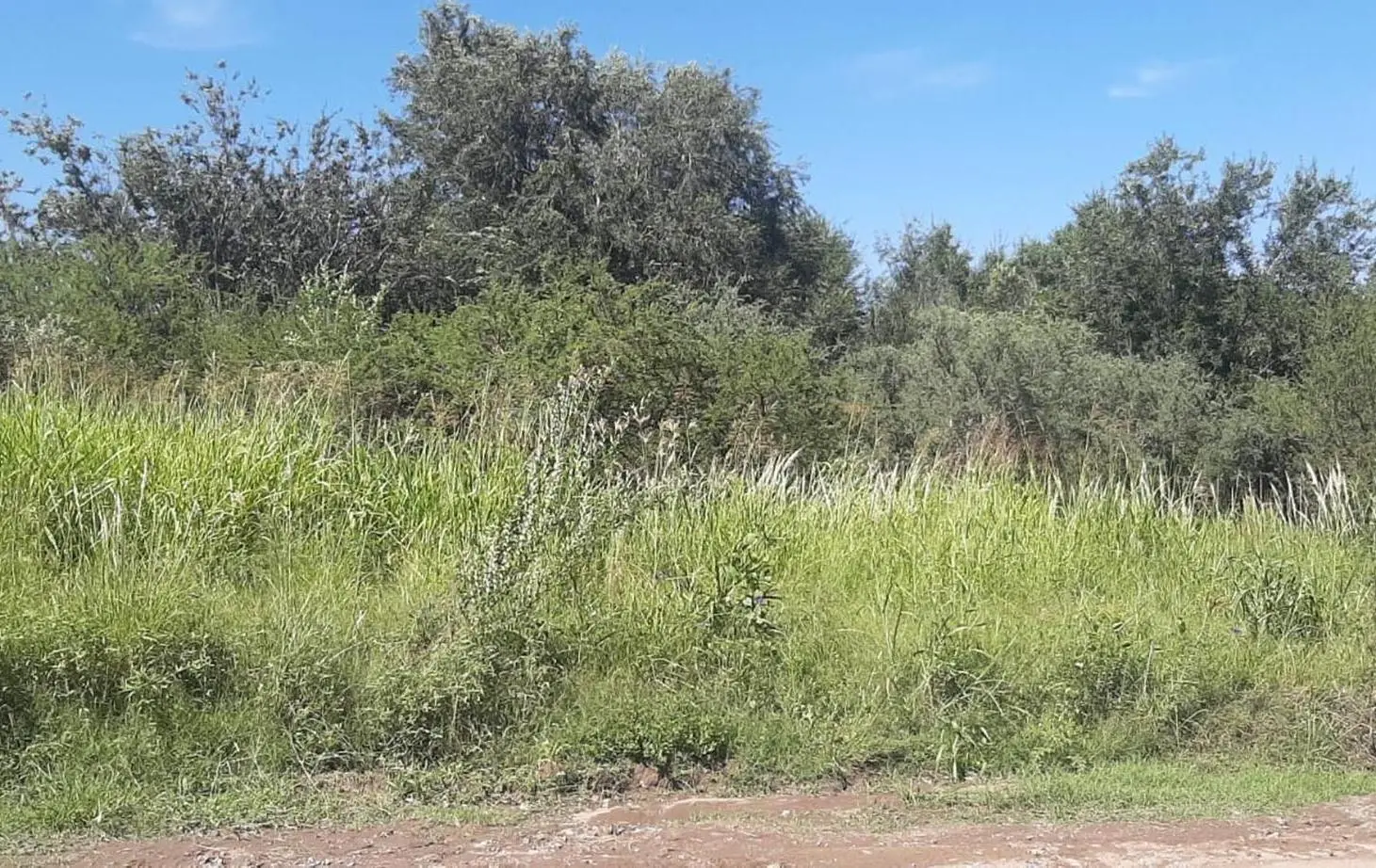 TERRENO EN VENTA COMUNA DE SAN ROQUE 2