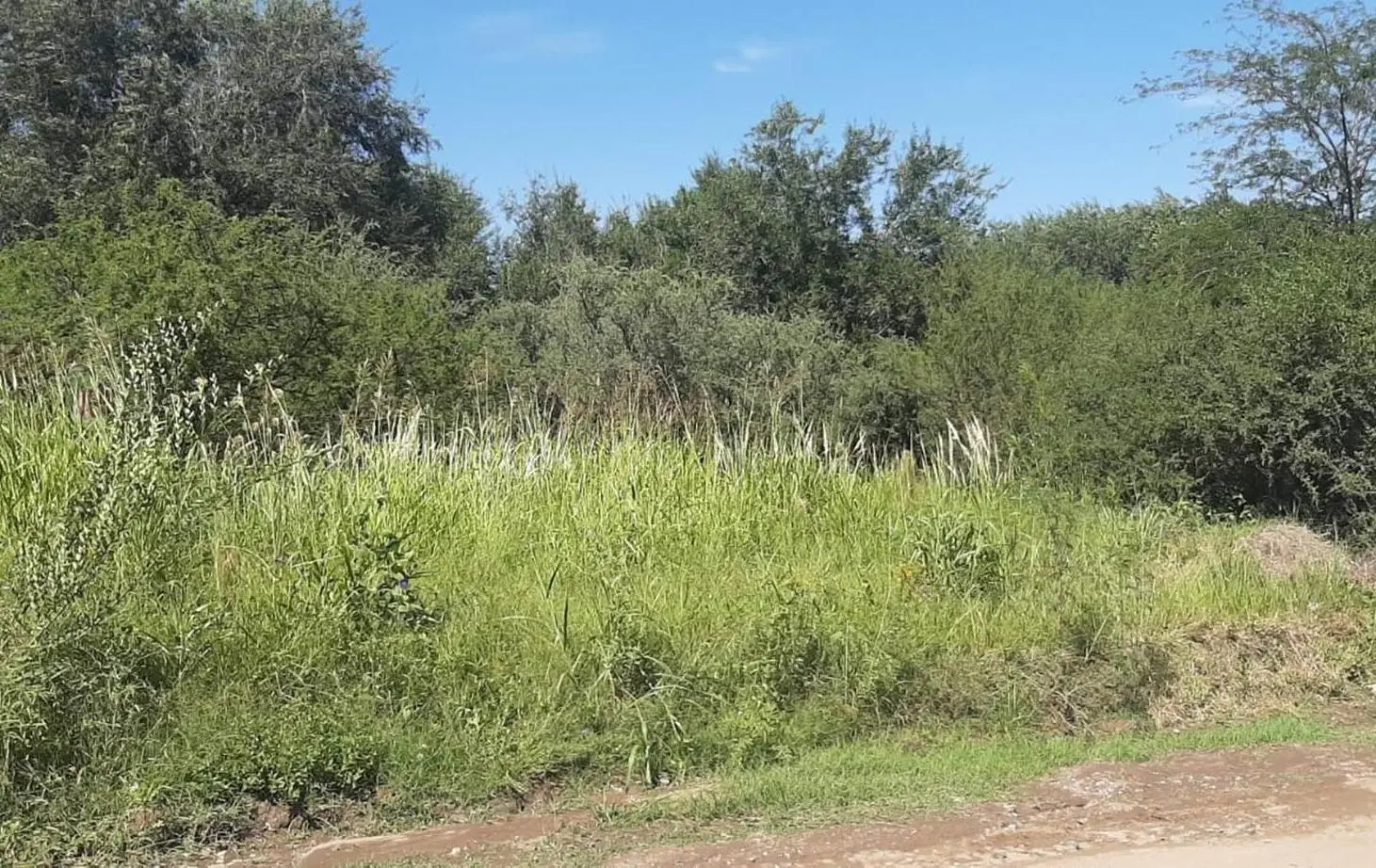 TERRENO EN VENTA COMUNA DE SAN ROQUE 4