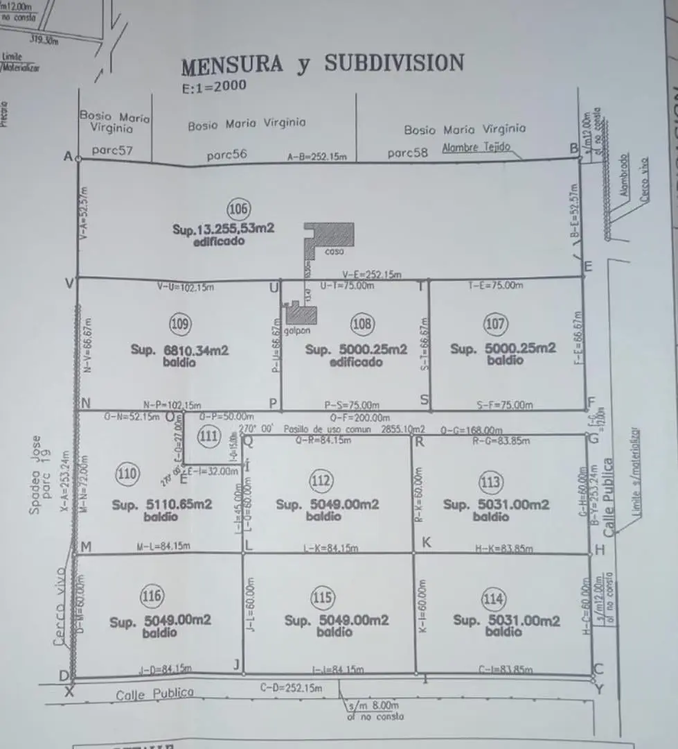 Plano 1