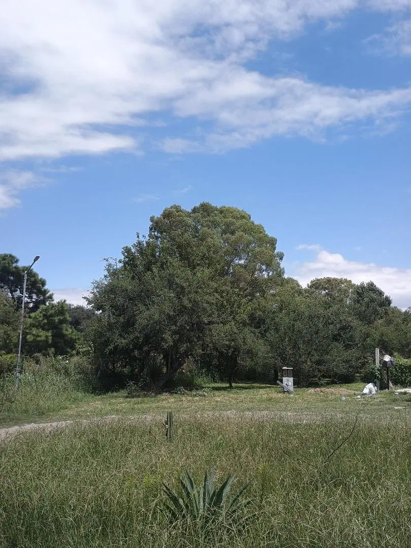 TERRENO EN VENTA 800 mts Villa Catalina 1era etapa 2