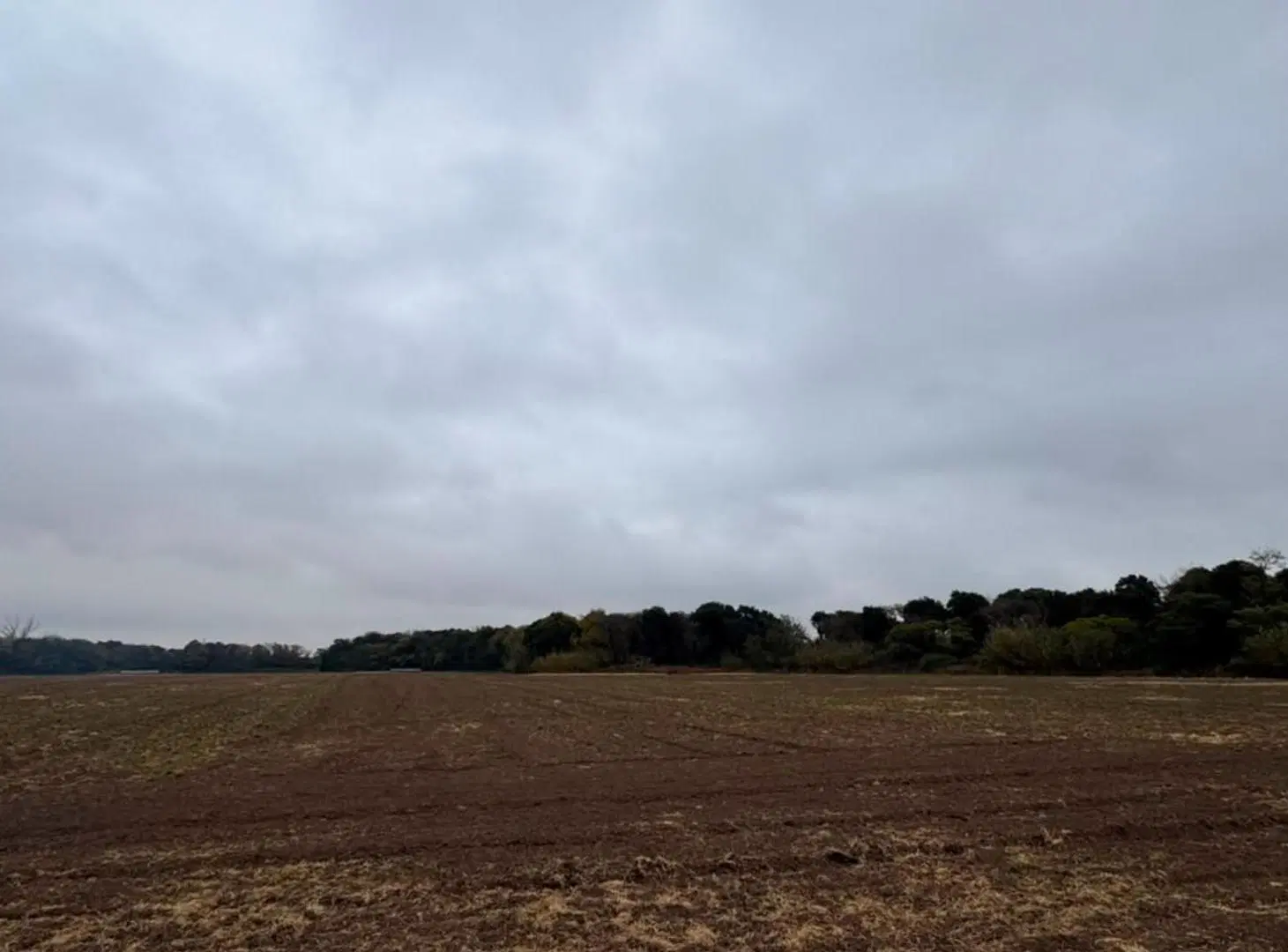 VENTA CAMPO CAMINO SAN CARLOS KM9 5