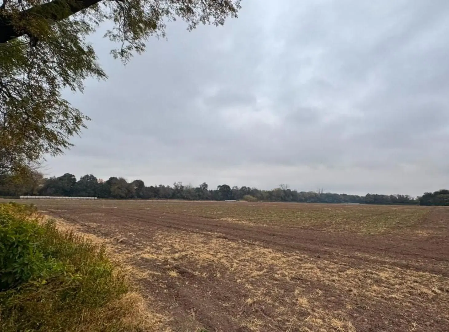 VENTA CAMPO CAMINO SAN CARLOS KM9 2