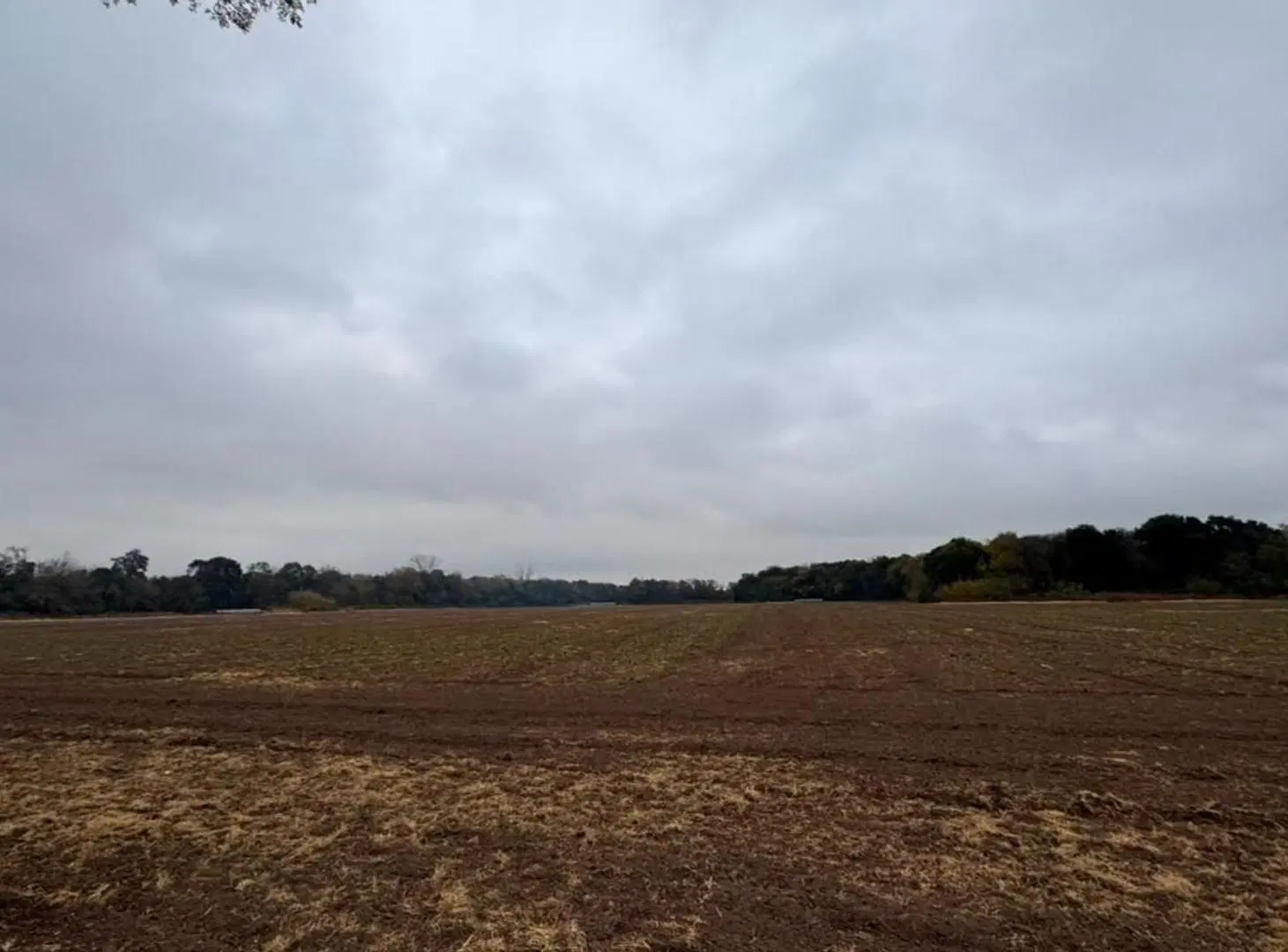 VENTA CAMPO CAMINO SAN CARLOS KM9 4