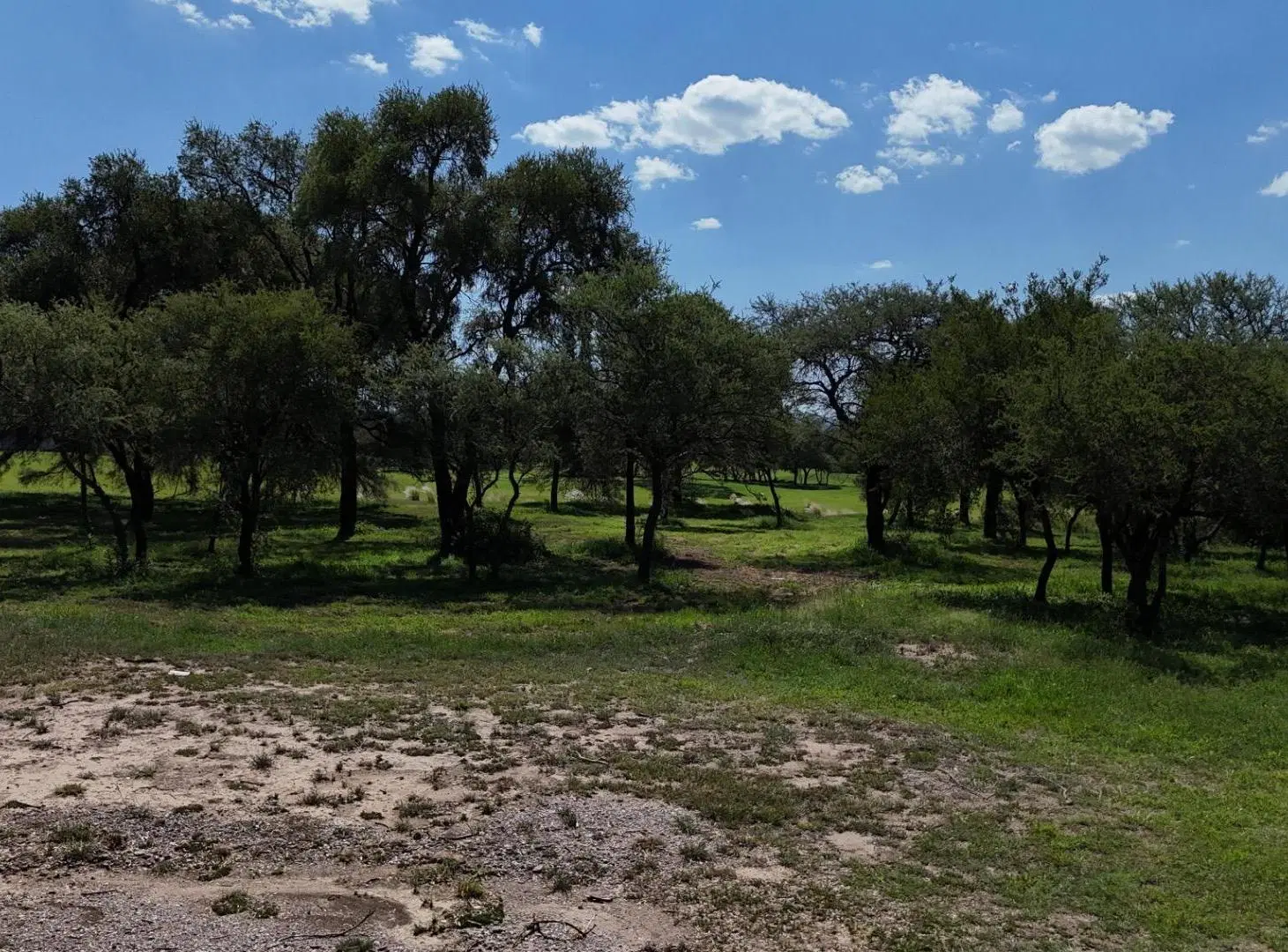 LOTE CON FONDO AL GOLF EN VENTA B° VALLE DEL GOLF 7