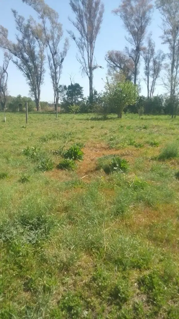 VENDO terreno en ANISACATE con MEJORAS 3