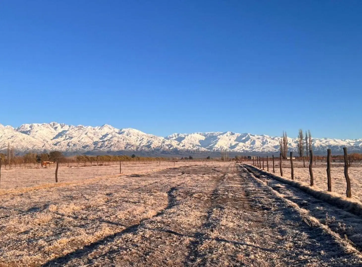LOTE EN BARRIO LA MERLINA EN VALLE DE UCO MENDOZA 3