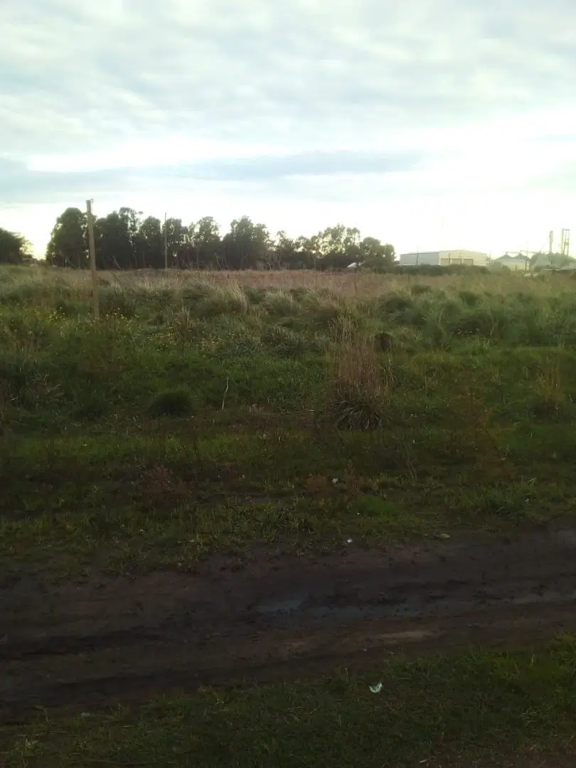 VENDO TERRENO en QUEQUEN - NECOCHEA 3