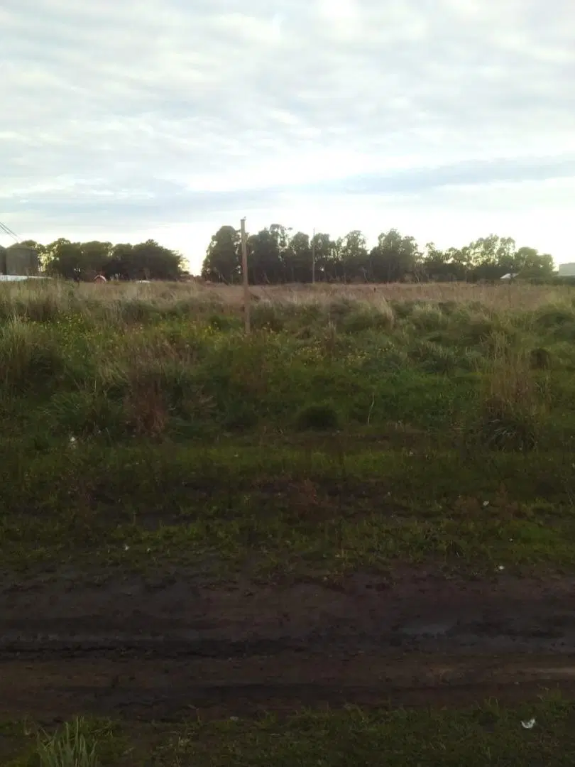 VENDO TERRENO en QUEQUEN - NECOCHEA 5