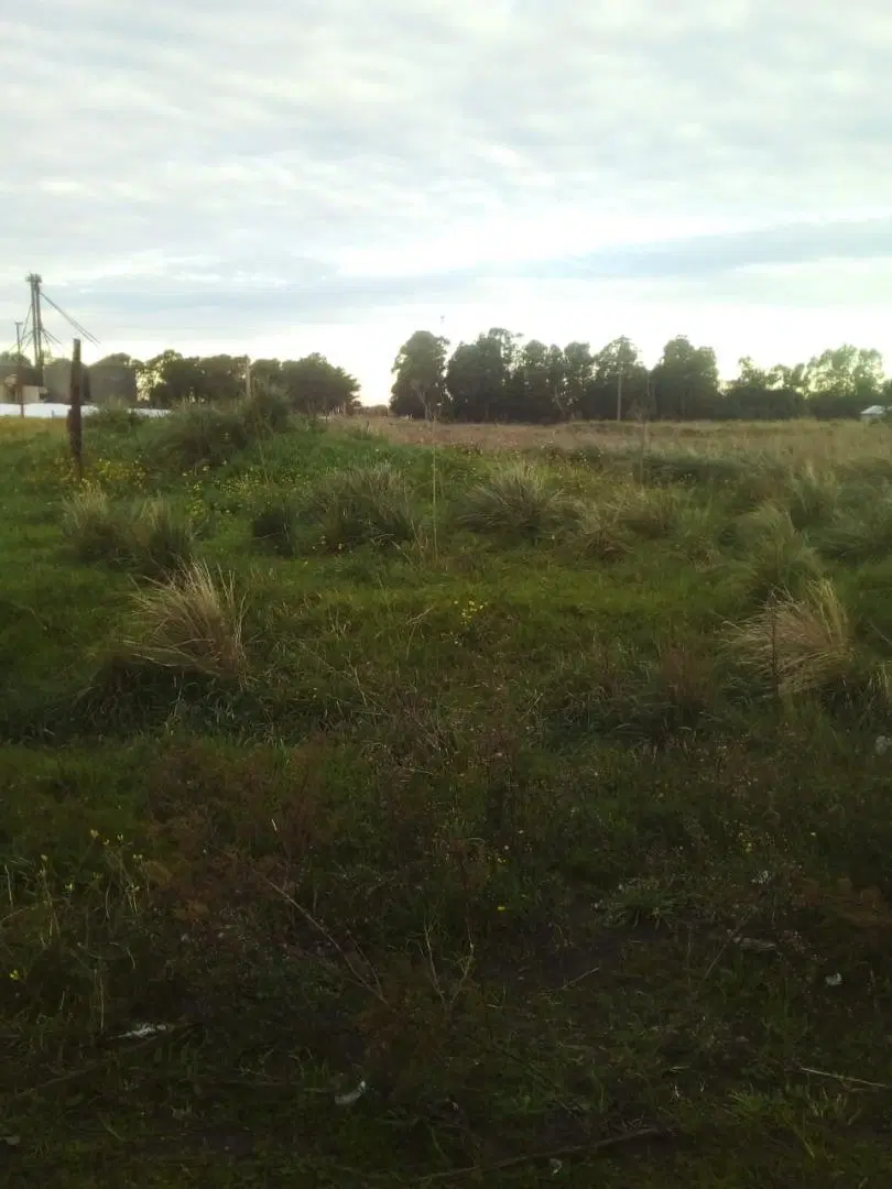 VENDO TERRENO en QUEQUEN - NECOCHEA 4