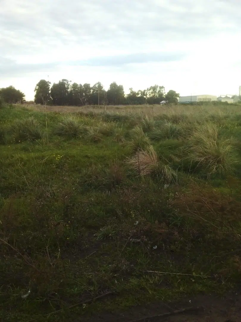 VENDO TERRENO en QUEQUEN - NECOCHEA 2