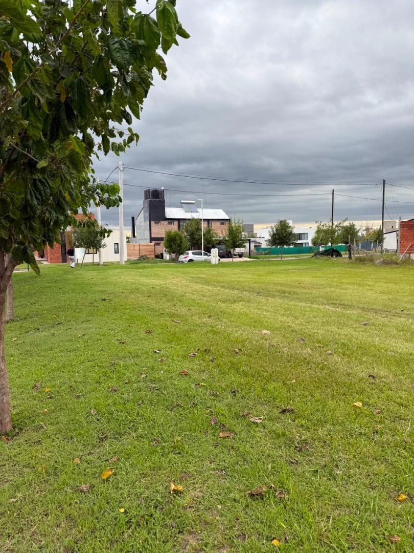 Foto de Terreno Esquina Tejas 4 420mts, imagen 3