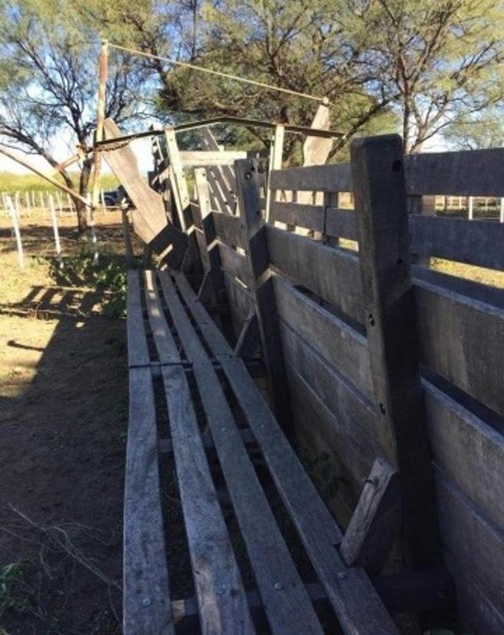Foto de Campo 180 ha Ganadero en Venta Villa de Soto, imagen 2