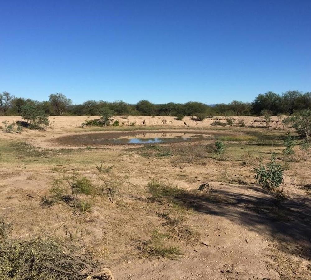 Foto de Campo 180 ha Ganadero en Venta Villa de Soto, imagen 5