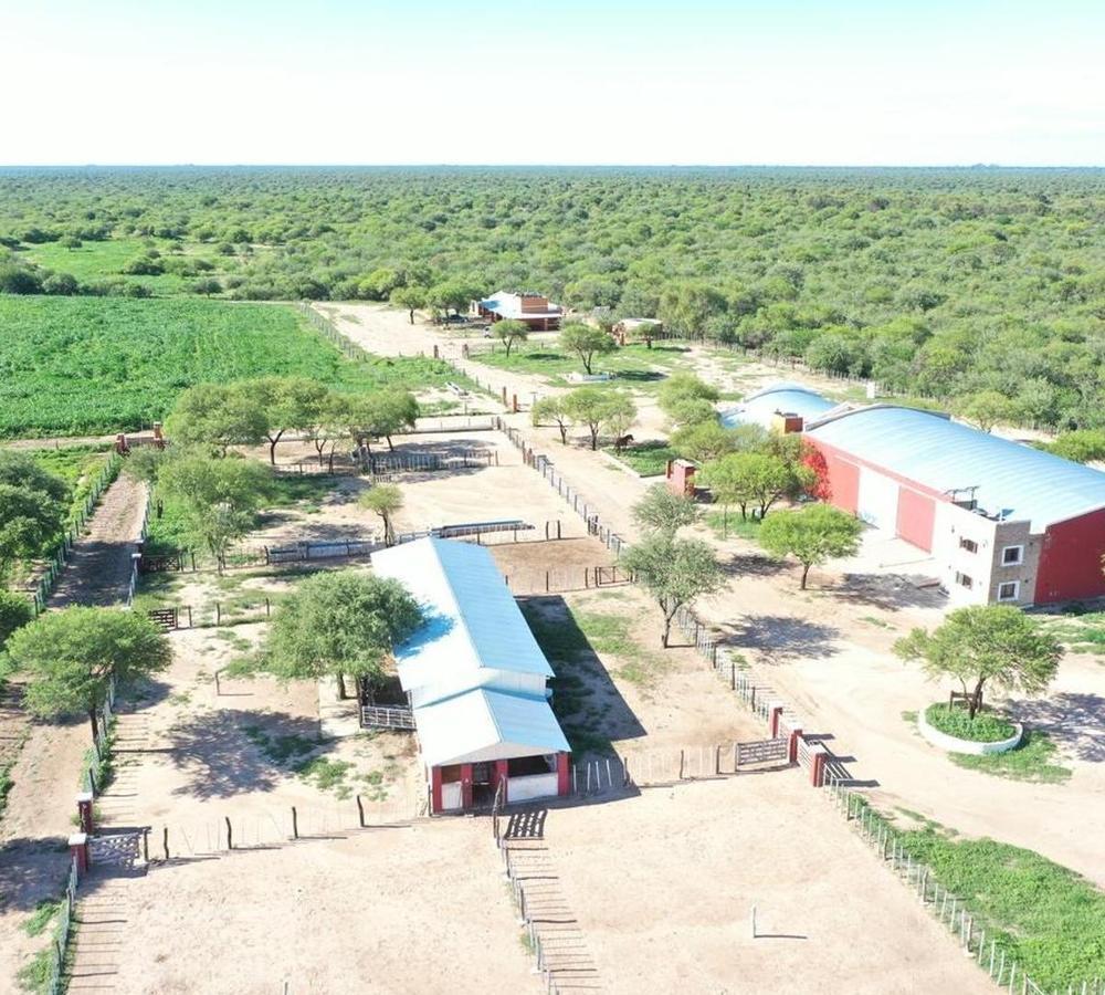 Foto de Campo 123 ha Feedlot Villa de Soto, imagen 1