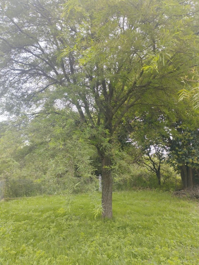 Foto de Terreno en Jose De La Quintana, imagen 4