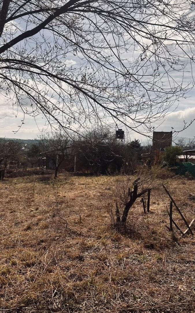 Foto de Terreno en Las Mojarras, imagen 5