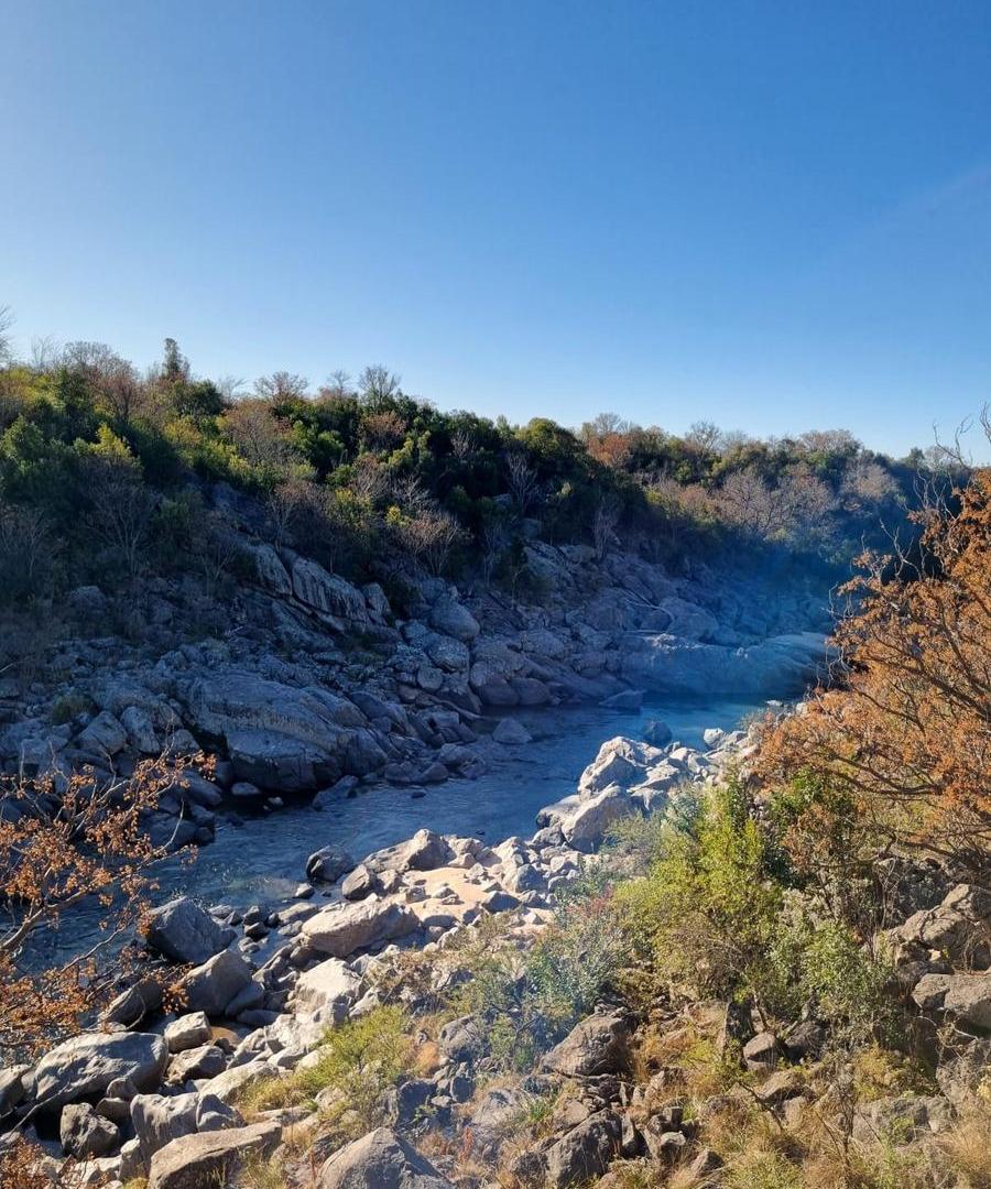 Foto de Campo en Venta. Villa Cañada del Sauce, imagen 4