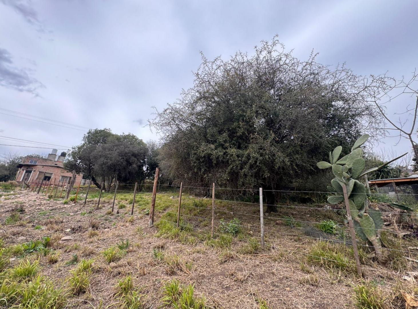 Foto de Terreno en Salsipuedes, imagen 3