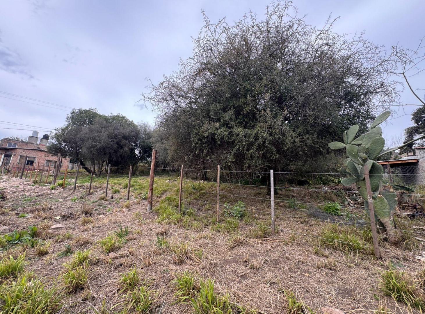 Foto de Terreno en Salsipuedes, imagen 4