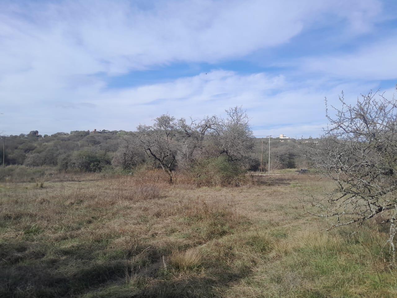 Foto de Campo en Las Vertientes De La Granja, imagen 3