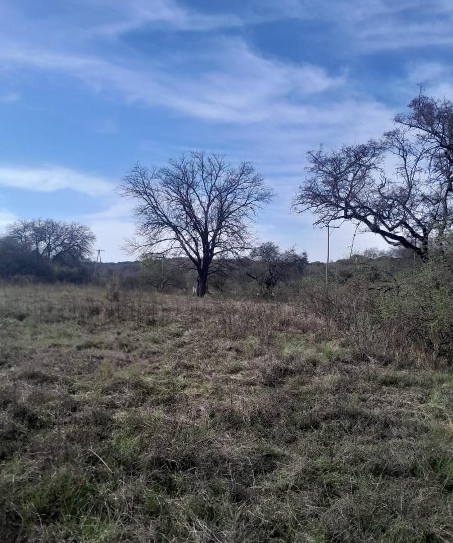 Foto de Campo en Las Vertientes De La Granja, imagen 1
