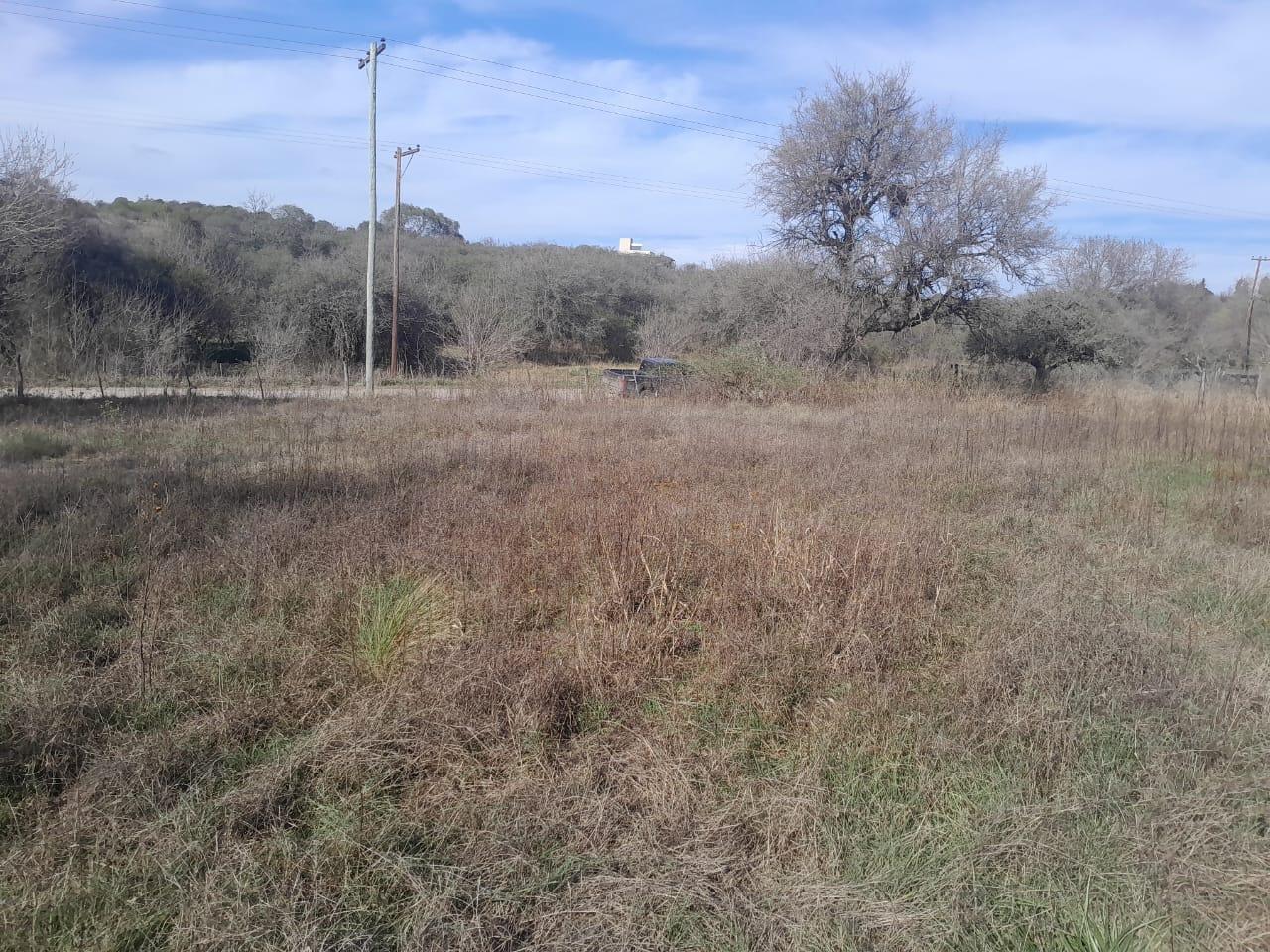 Foto de Campo en Las Vertientes De La Granja, imagen 5