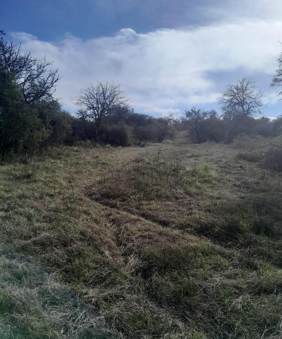 Foto de Campo en Las Vertientes De La Granja, imagen 4