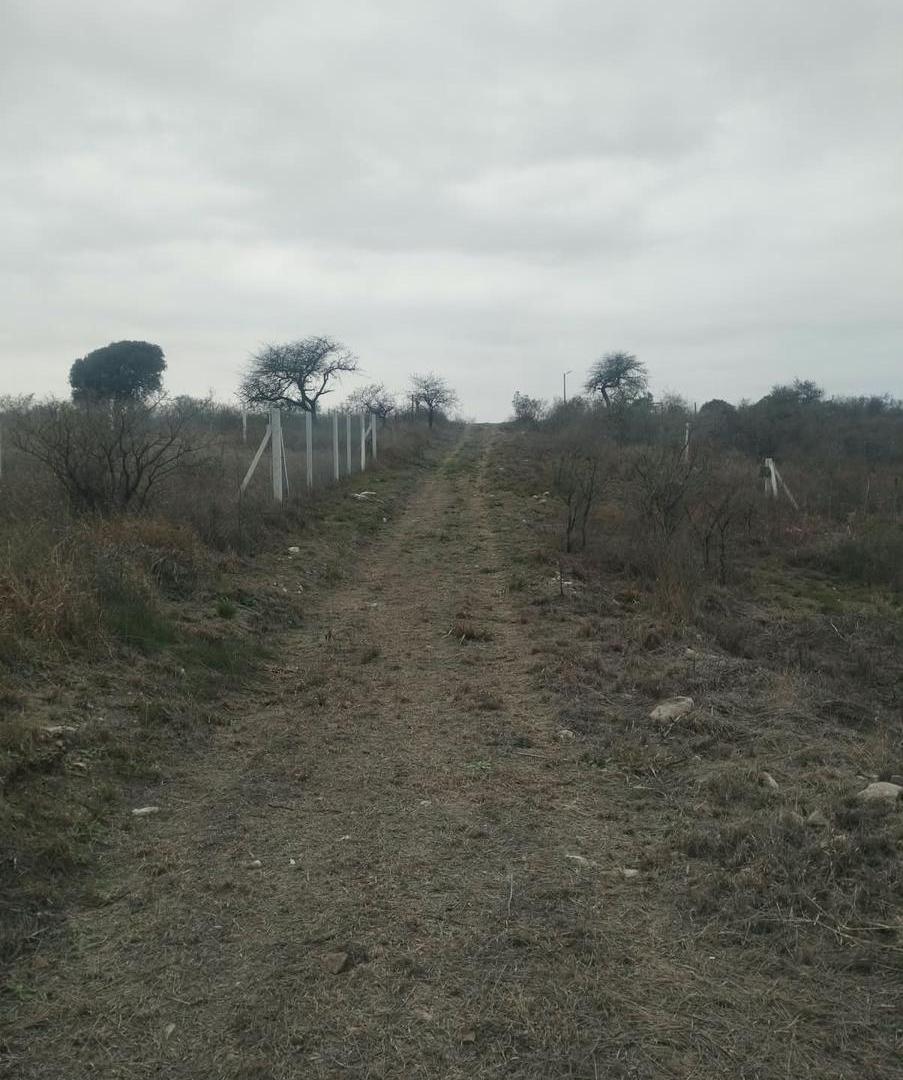 Foto de Terreno en Valle de Anisacate, imagen 2