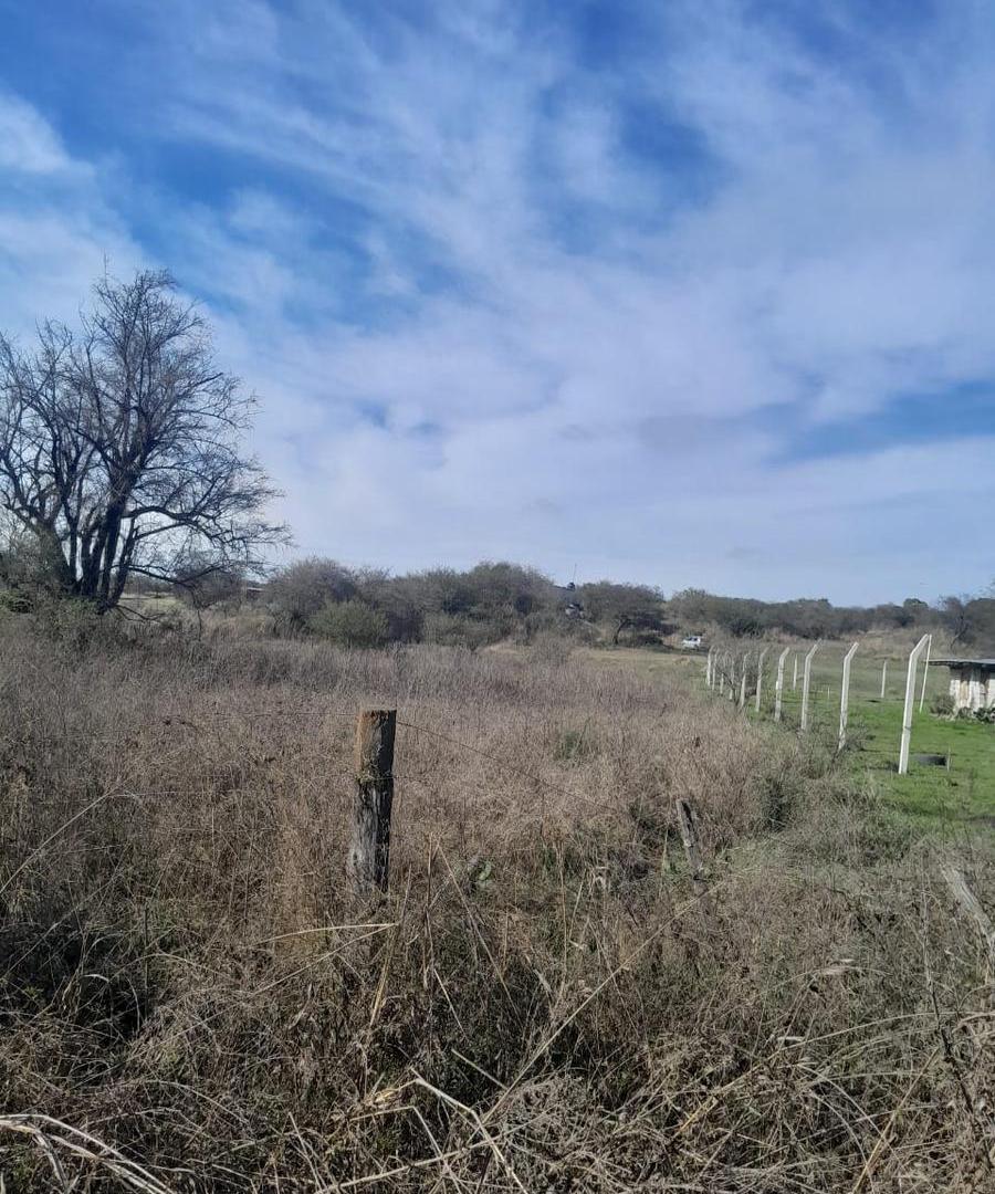 Foto de Venta Terreno Las Vertientes de LA GRANJA, imagen 4