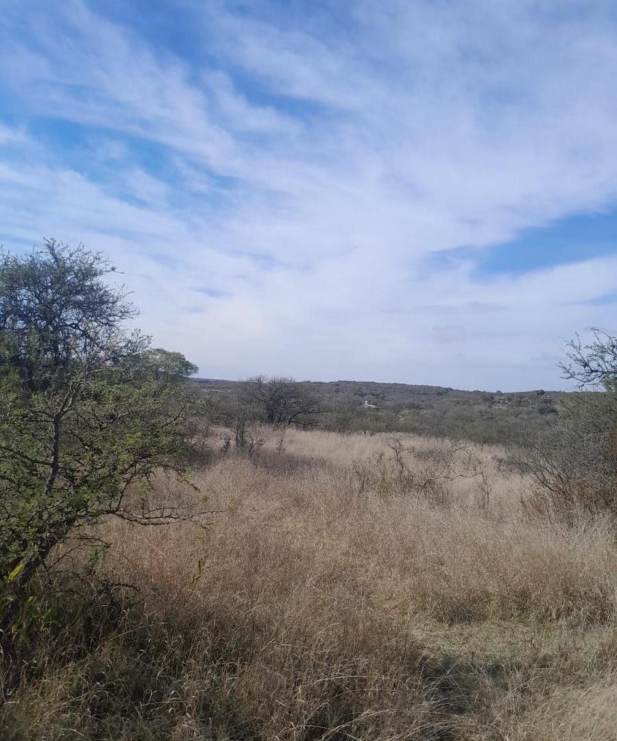 Foto de Venta terreno 30.000 m2, imagen 1