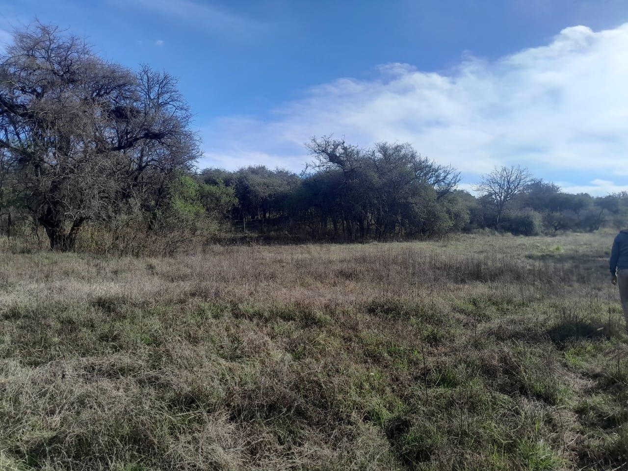 Foto de Venta terreno 30.000 m2, imagen 3