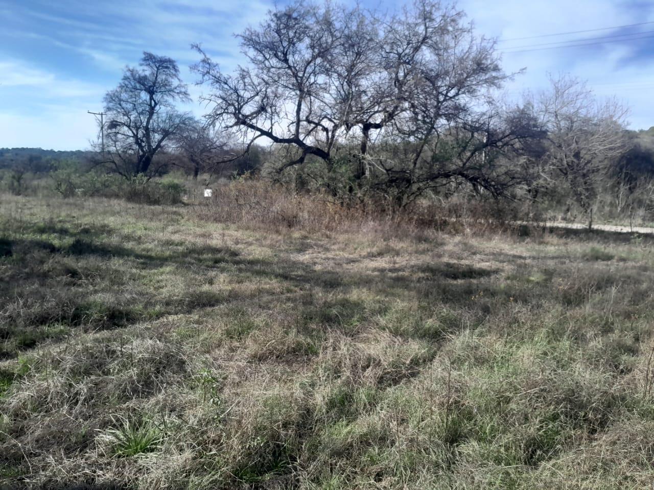 Foto de Venta terreno 30.000 m2, imagen 4
