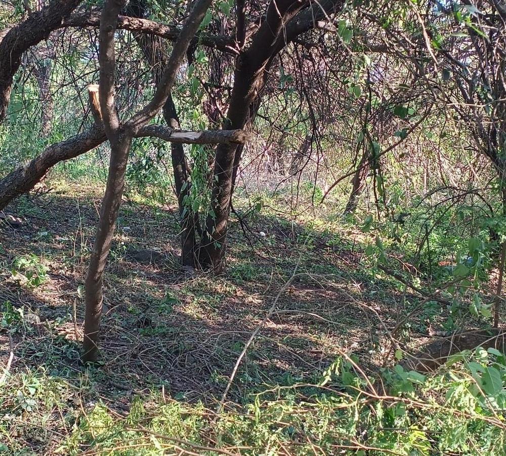 Foto de SE VENDE LOTE EN MENDIOLAZA CORODBA, imagen 3