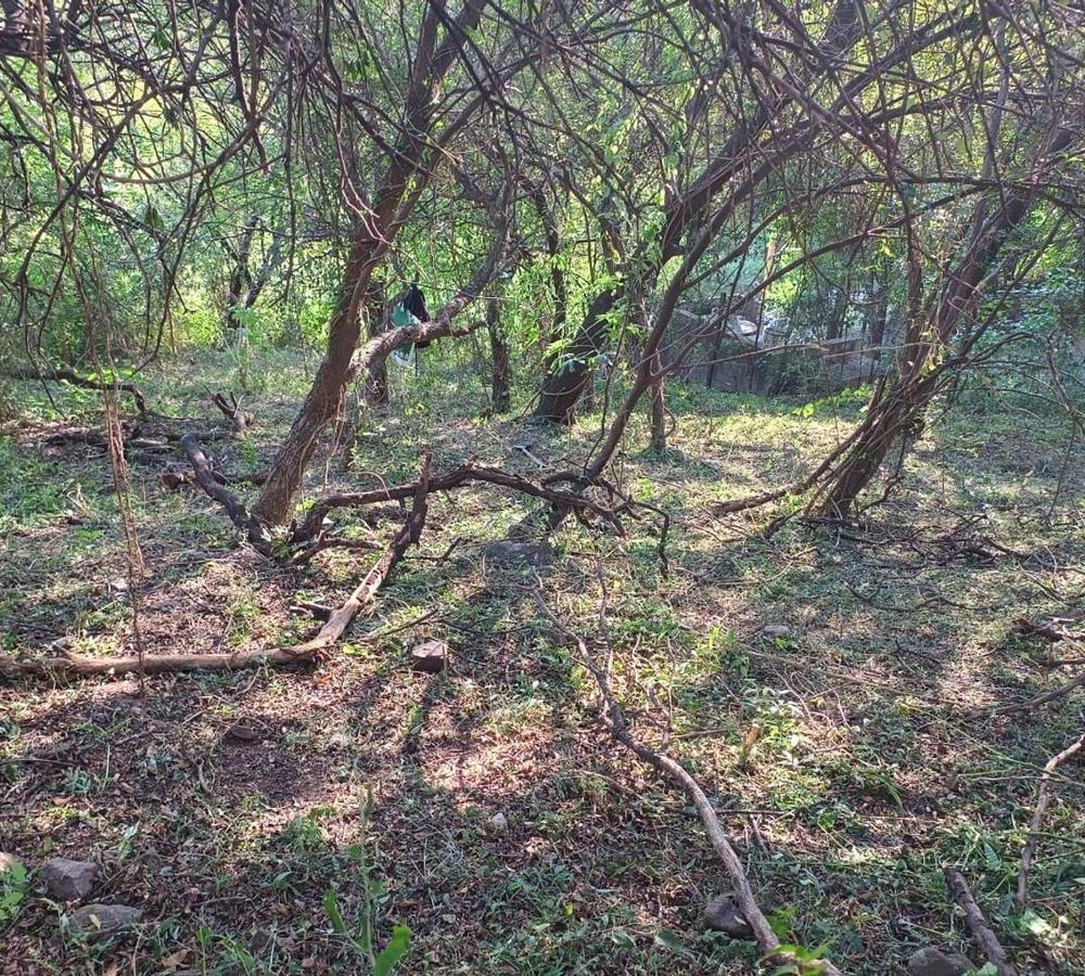 Foto de SE VENDE LOTE EN MENDIOLAZA CORODBA, imagen 2